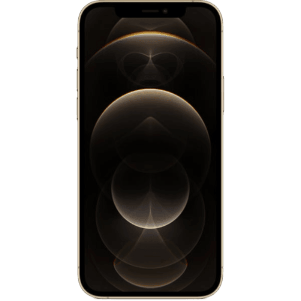 IPhone 12 Pro Max (FaceTime – International Specs) - Image 2